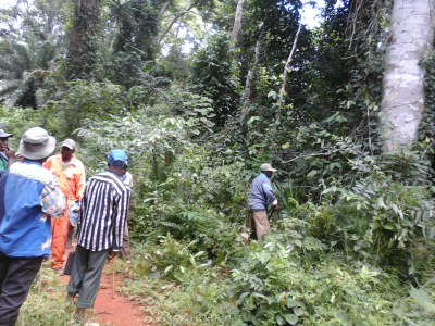 Recherche de partenaire agricole au Cameroun / Mengang