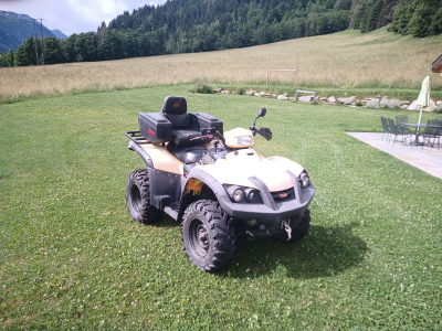 vend QUAD marque TGB