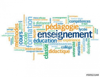 Cours de Français et langues étrangères par webcam.