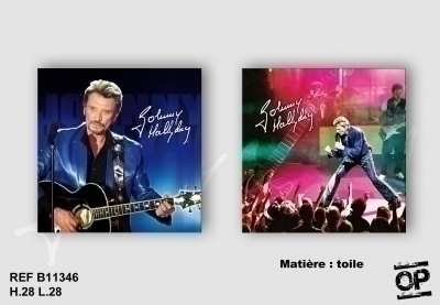 Lot De 2 Toiles 28x28cm Johnny Hallyday