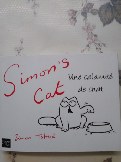 Simon's Cat. Une calamité de Chat 