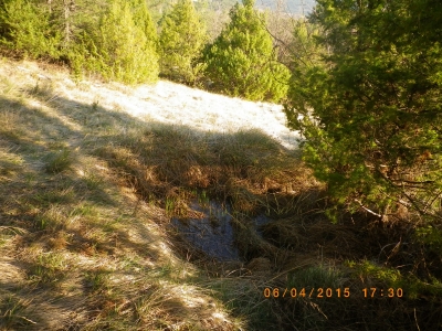 joli terrain agricole ou de loisirs