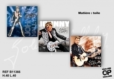 Lot De 3 Toiles 40x40cm Johnny Hallyday