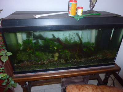 AQUARIUM COMPLET