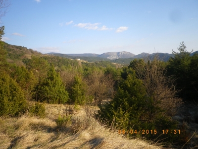 joli terrain agricole ou de loisirs