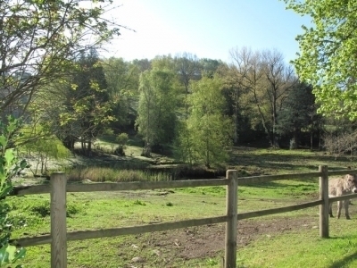 saint-maurice sur moselle (hautes-vosges) : maison de maÎtre