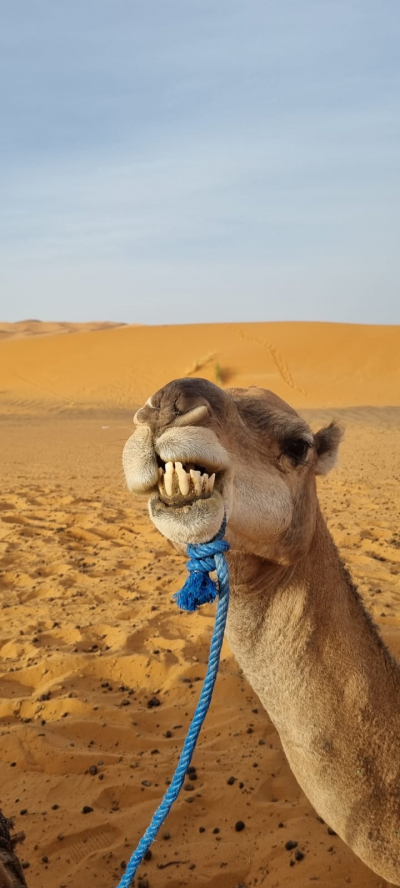 Séjours à thèmes 