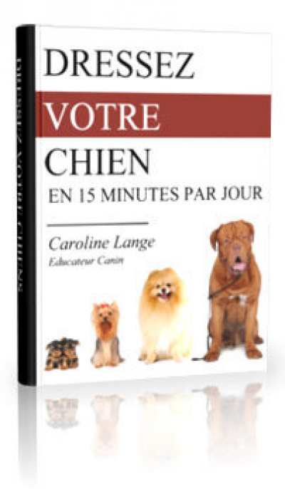 Dressez votre Chien en 15 Minutes par Jour !