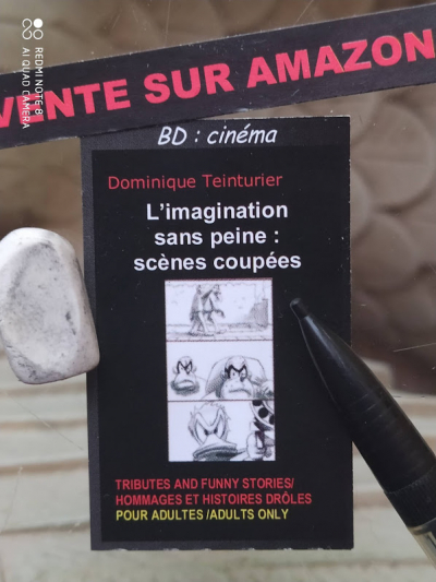 Deux BD uniques en leur genre