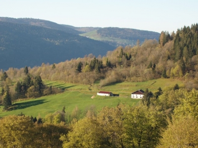 HAUTES-VOSGES-FERME RENOVEE+ ANNEXE POUR CHEVAUX + 1 hectare