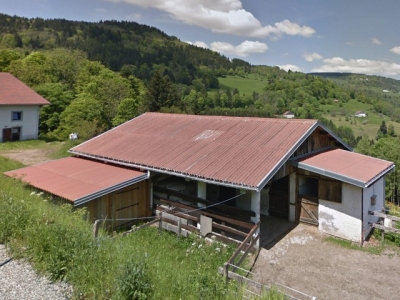 HAUTES-VOSGES-FERME RENOVEE+ ANNEXE POUR CHEVAUX + 1 hectare