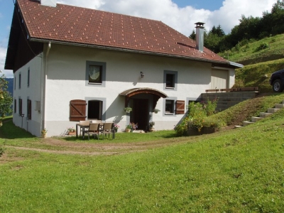 HAUTES-VOSGES-FERME RENOVEE+ ANNEXE POUR CHEVAUX + 1 hectare