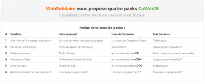 CoWeb19 - Votre site internet pour 45€ tout inclus.